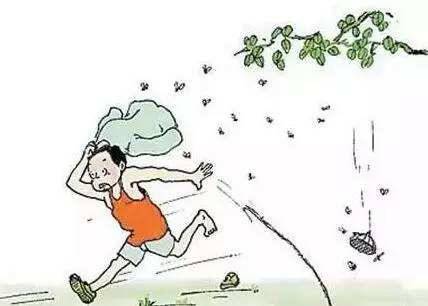 这种东西咬了你请重视