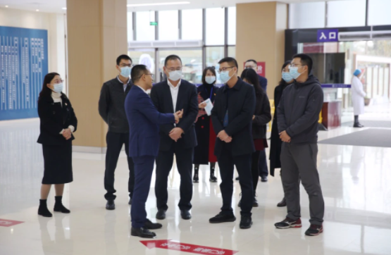 市委政研室领导一行莅临菠菜广告投放平台调研